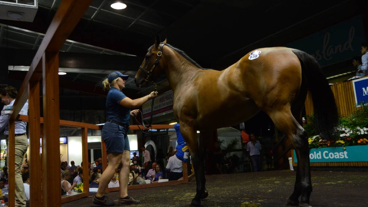 The top seller of the Saturday evening session a filly by Snitzel – with handler Rosie Millichap, which sold from Widden Stud for $1.1 million at the Gold Coast Yearling Sale. Photo Virginia Harvey