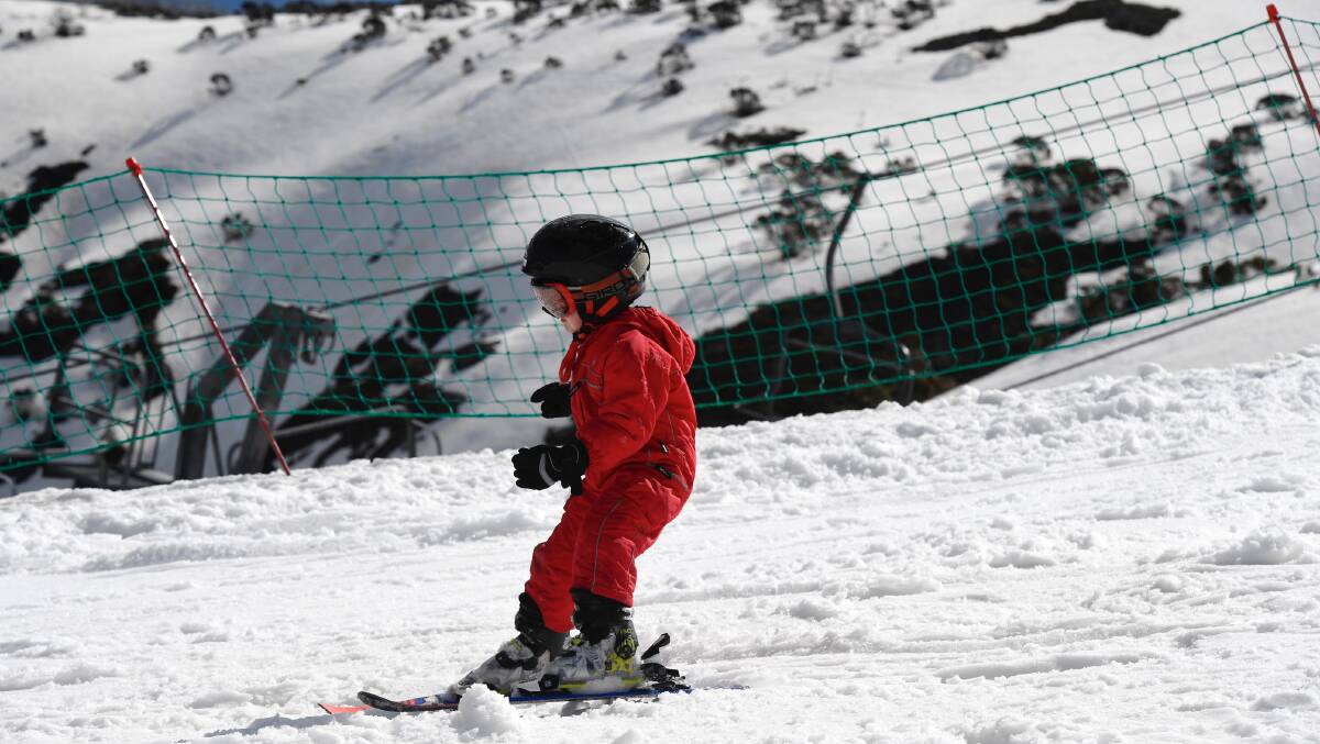 George Taylor, 3, had never seen snow before. Here he is on the last day of the family's break at Mt Hotham. Photo: CHRIS HOCKING