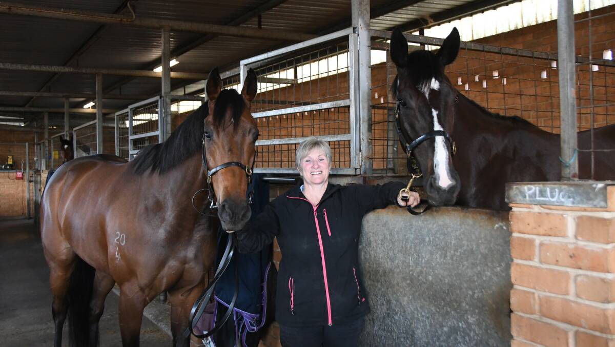 Port Macquarie trainer Jenny Graham with her stable stars Victorem and Awesome Pluck. Victorem is favourite for the $1.3m The Kosciuszko at Randwick next month. Photos by Virginia Harvey