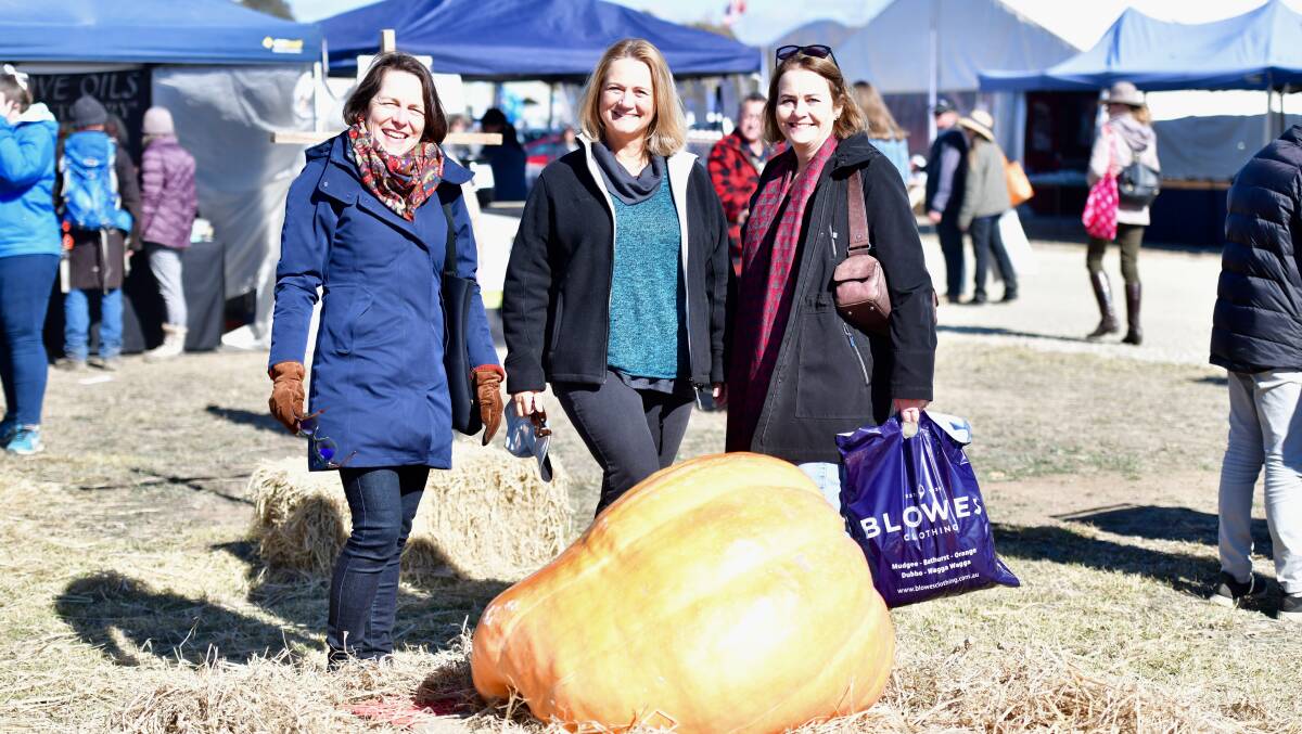 Visitors take an interest in the large pumpkin at the Farmers Market last year.