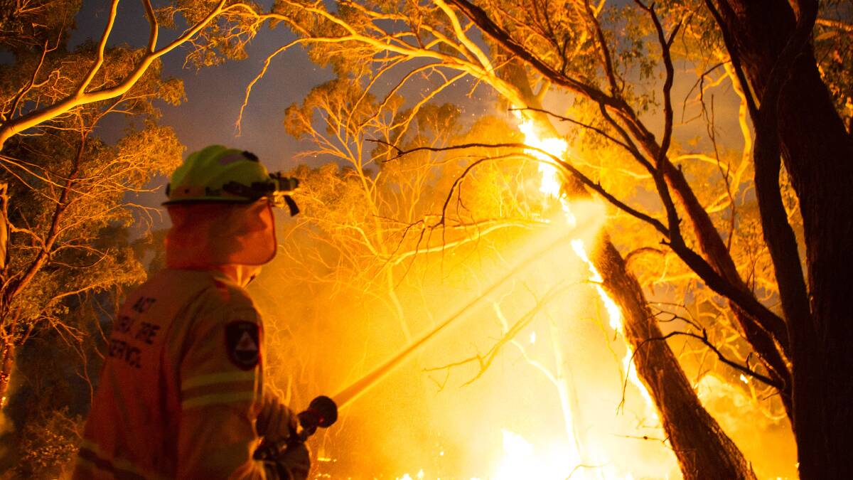 The bushfire royal commission is considering calling for a permanent system of pay for volunteers. Photo: Dion Georgopoulos
