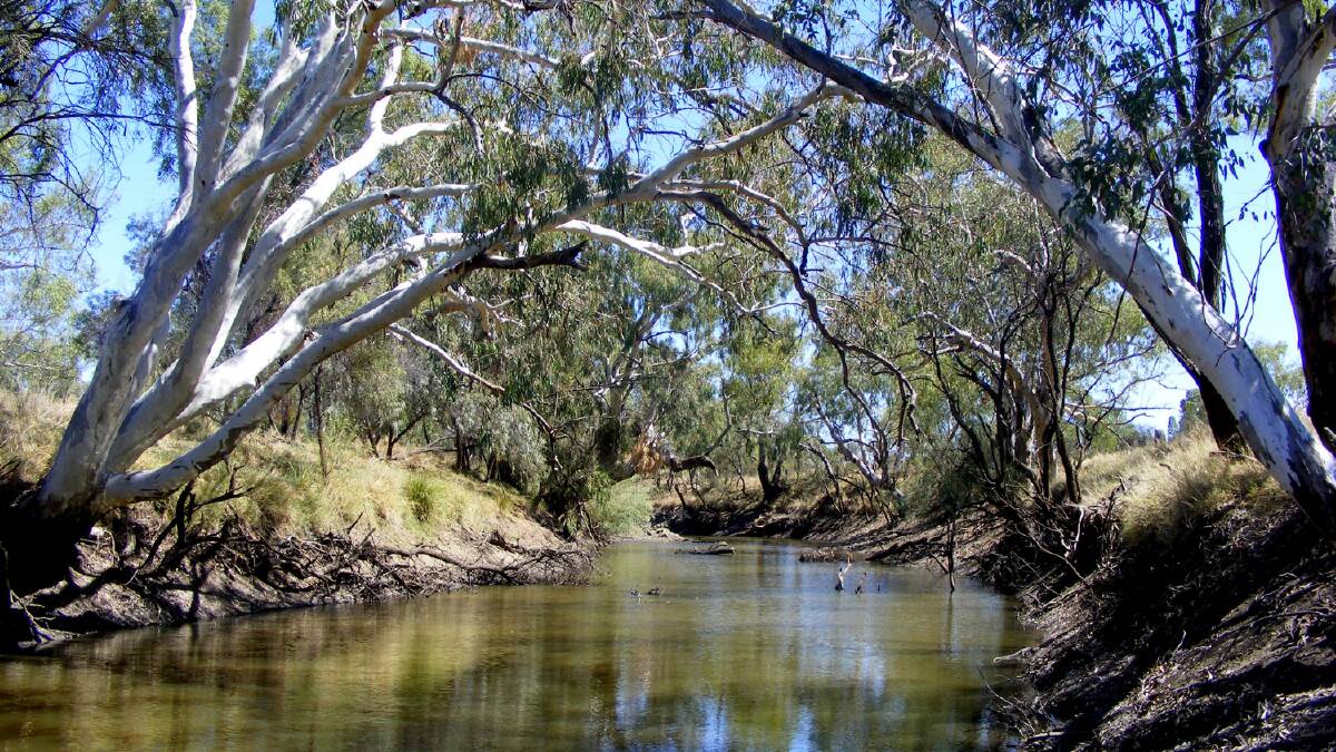 Report slams water planning in NSW regions