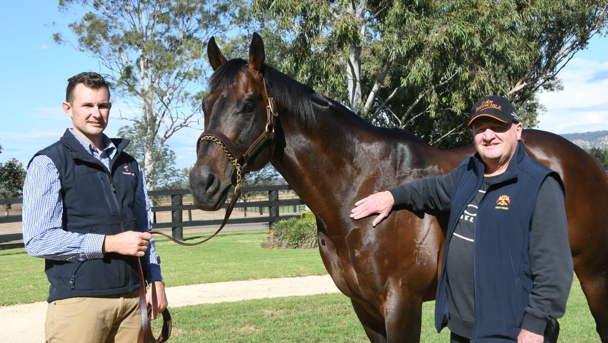 I Am Invincible on show at Yarraman Park, Scone, with stallion handler Michael Morton, and the stallion's major share holder Ray Gall. Photo by Virginia Harvey
