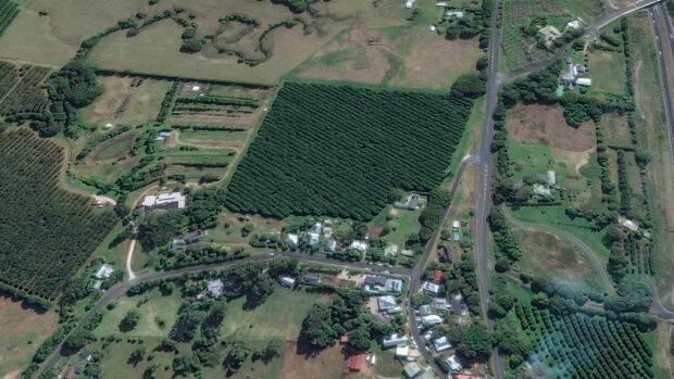 Going Nuts John Ibrahim Farm Buy Sets Tongues Wagging As Investors Target Towns The Land Nsw