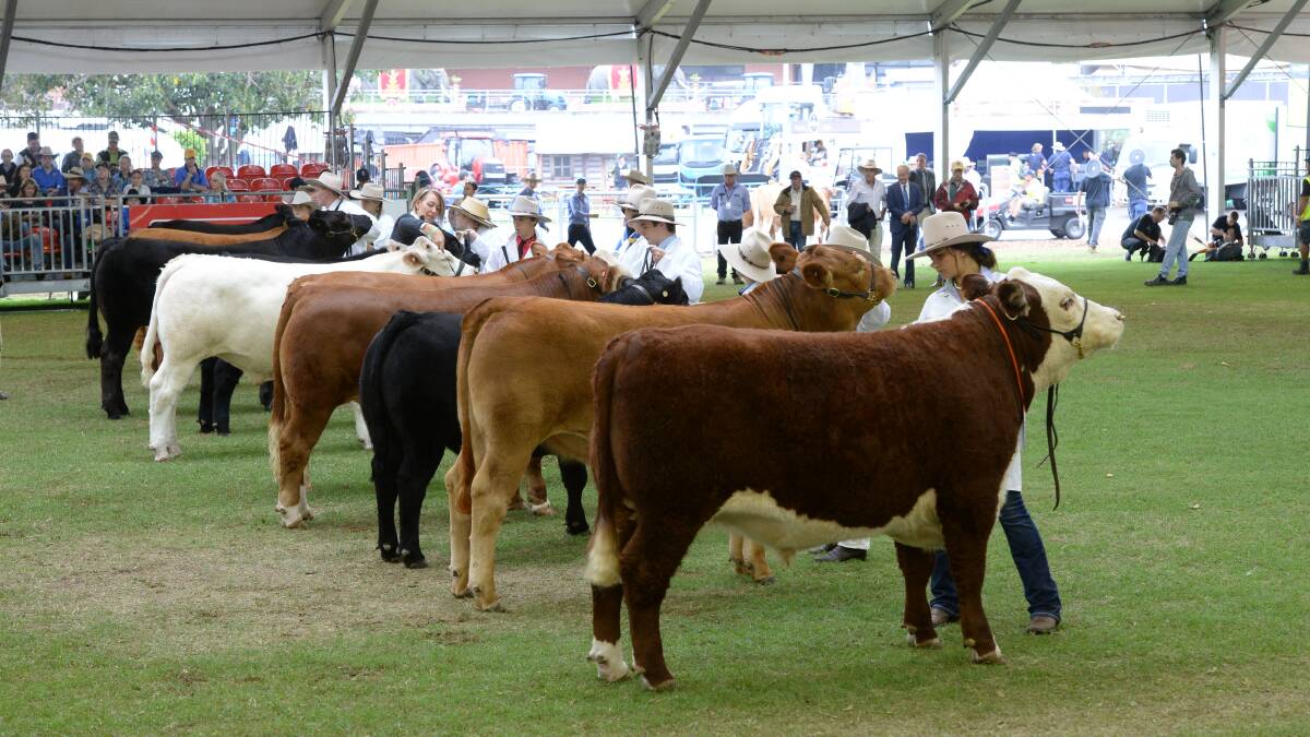 Sydney Royal Show live coverage: March 24