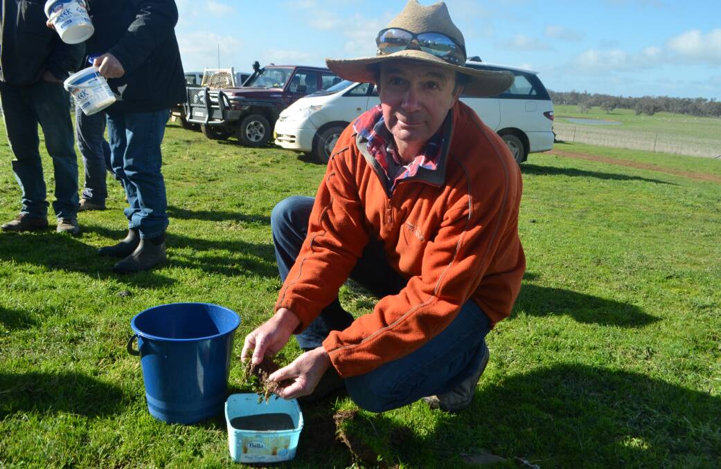 Shaun Robinson, Binalong, checking one of his sub-clover plants for the amount of nodulation during 'the trouble with sub' field trial. "This sample is good and as I expected."