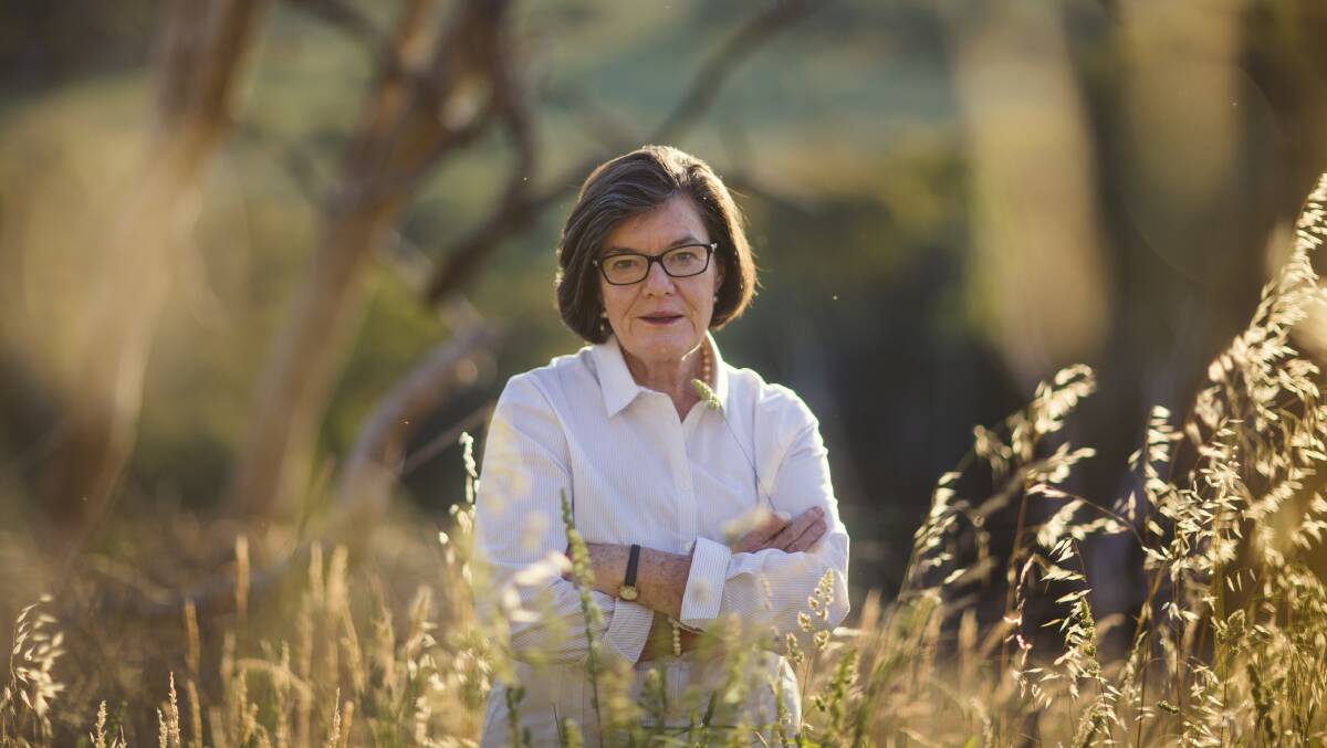 Victorian rural MP Cathy McGowan. Photo: Meredith O'Shea