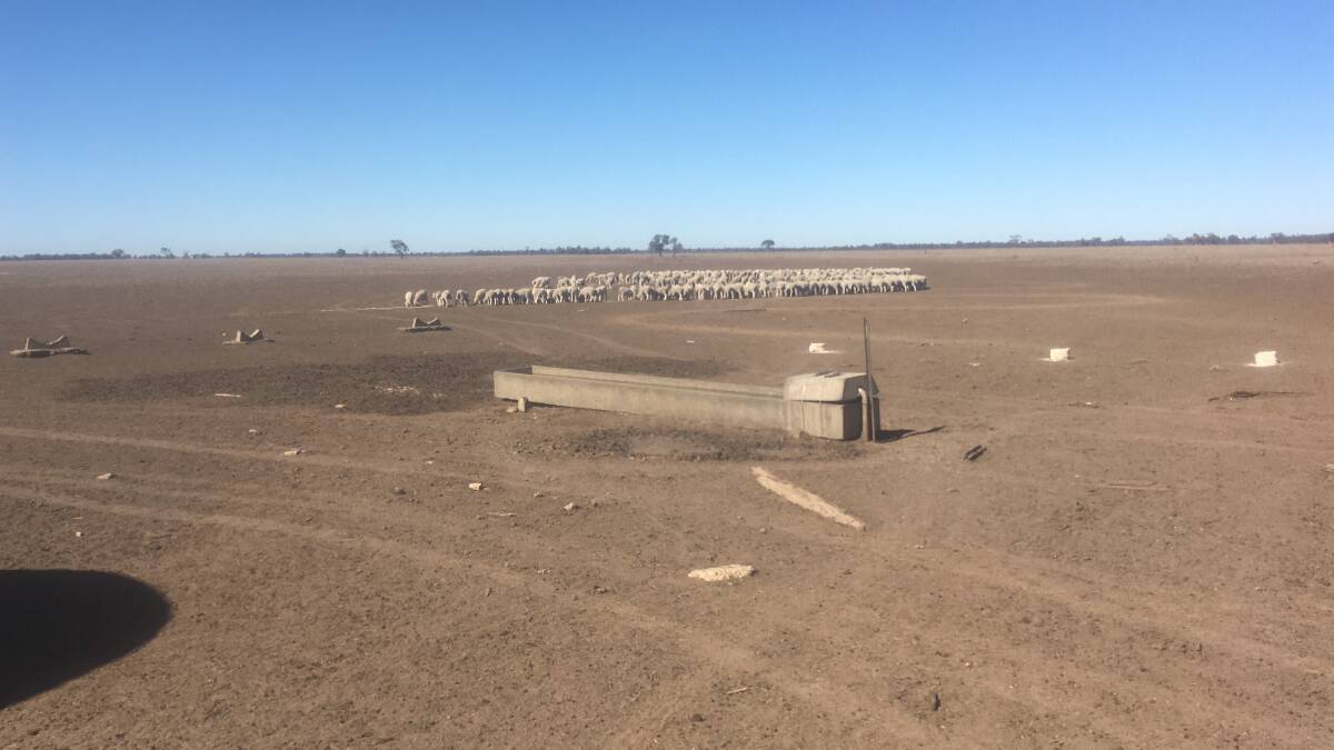 The Taylors' property 'Warrambone' near Coonamble NSW in August of this year. Photo: SUPPLIED