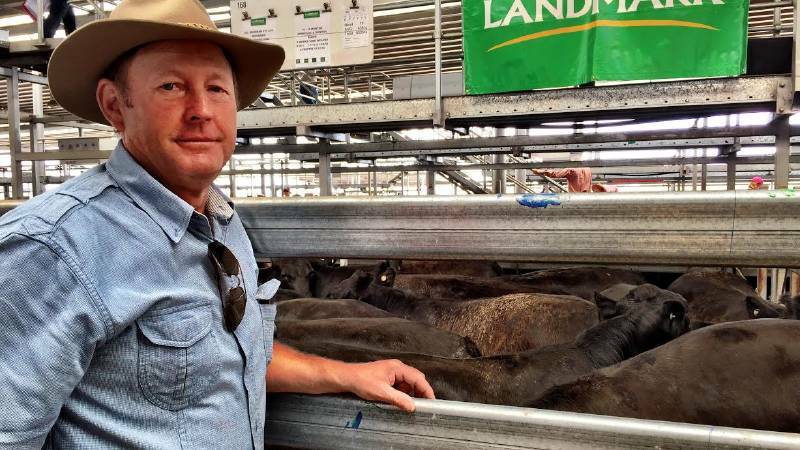Weaner sales kick off: Day one highlights | Photos, Video