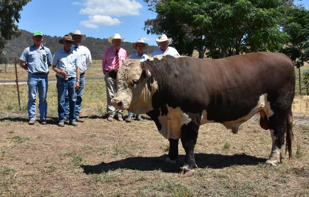 Equal top price bull Glenellerslie Quinlan 2 purchased by Greg O'Brian, Merrijig; with agents and principals. 
