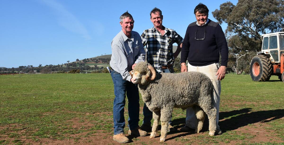 Equal top price ram with purchasers Pat and Andrew Davies, Demondrille Merino stud, Harden, and Merryville principal Wal Merriman.