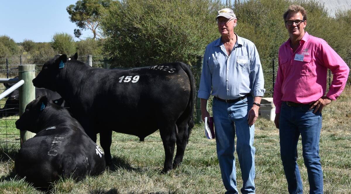 Second top bull purchaser Ian MacLeod, "Wahgunyah", Woodstock, NSW, paid $28,000 late in the sale for Te Mania Morell M1425 a Aryvale Bartel E7 son; with Te Mania's Tom Gubbins.