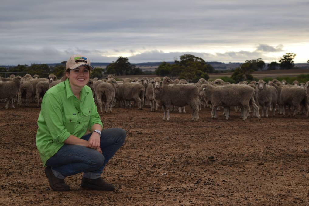 MOB  SIZE  AFFECTS  LAMB  SURVIVAL  Reducing  the  mob  size  of  twin-bearing  ewes  that  are  in  a  reasonable  condition  at  lambing  will  improve  lamb  survival,  according  to  the  current  results  of  ongoing  AWI-funded  research.  However,  their  stocking  rate  has  little  or  no  effect  on  lamb  survival.Researcher  Amy  Lockwood  says  improved  lamb  marking  rates  can  be  achieved  for  twin-bearing  ewes  by  reducing  mob  size  at  lambing,  as  well  as  pregnancy  scanning  and  optimising  condition  score.
