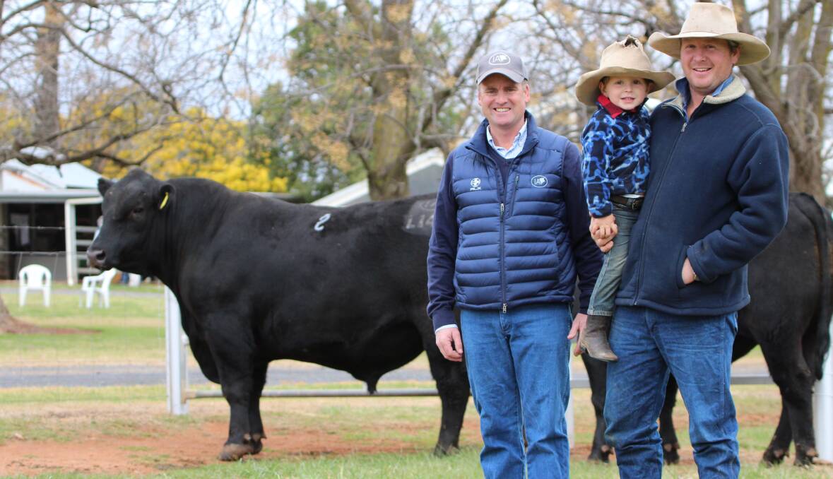 Corey Ireland with his $16,000 top price bull and purchasers Will (3) and Bill Lenehan, "Inverlochie", Harden.