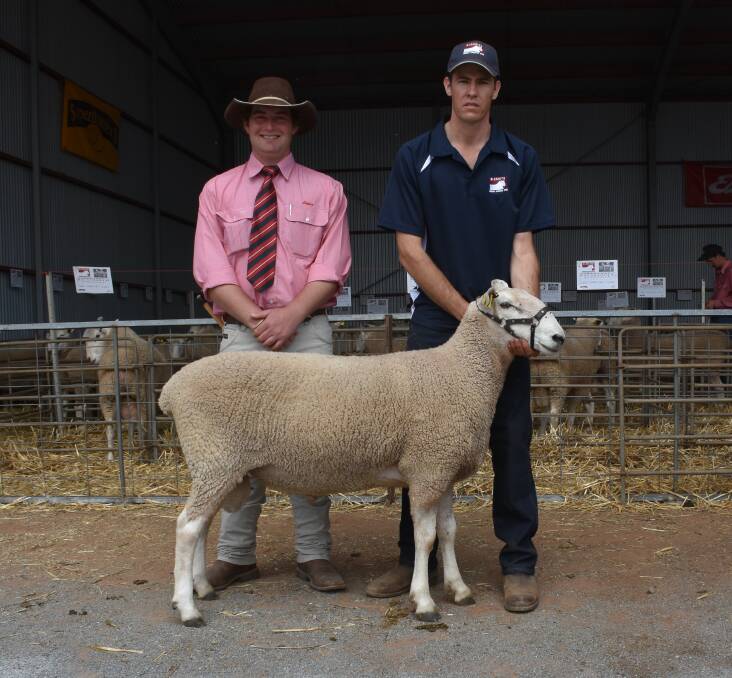 Elders auctioneer Will Stoddart, Wagga Wagga; looks over $7400 top price ram with Gleneith's Nathan Kember.