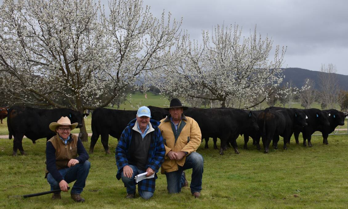 Tom and Andrew Hicks with volume buyer Craig Hartshorn, Garrison Cattle Feeders, Swan Hill.