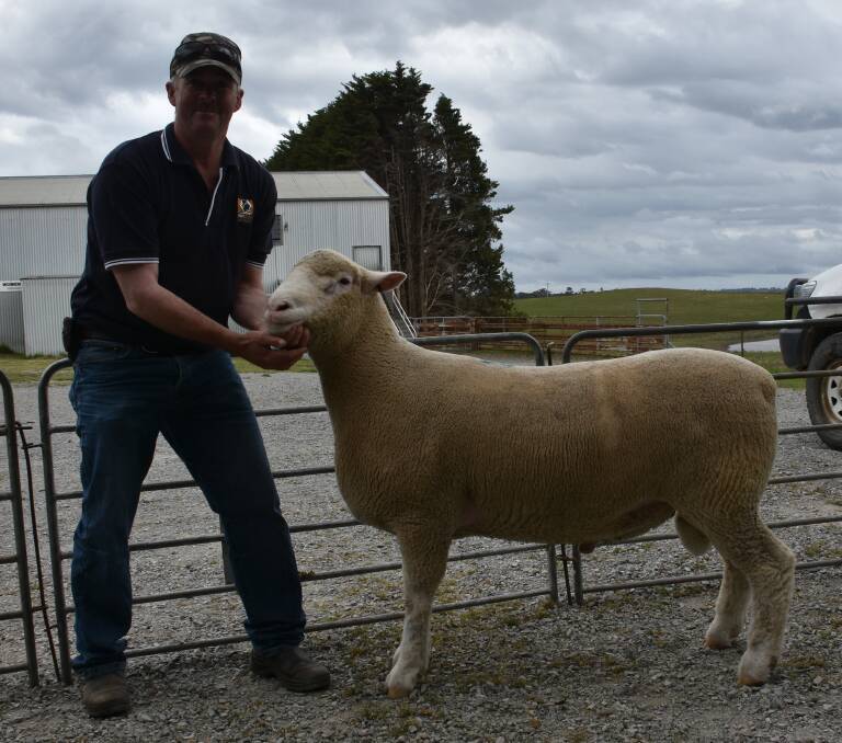 EQUAL TOP PRICE: Purchaser Greg Hamilton, Windradyne Poll Dorsets, Canowindra, holds his equal top price ram.