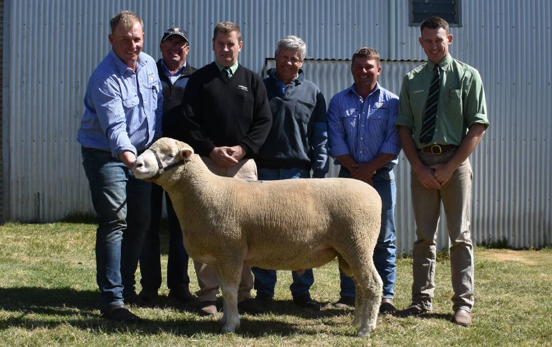 EQUAL TOP PRICE: Hillden's Anthony Frost holds the ram, with Brian Frost, Hillden, Landmark auctioneer, Rick Power, purchaser Danny Picker, Crown Hill Poll Dorsets, Bigga, James Frost, Hillden, and Landmark's Matt Joseph.