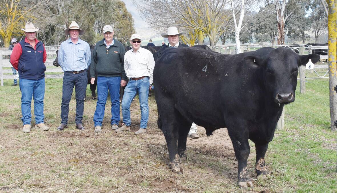TOP BULL: Agents Dan Ivone, Paull and Scollard, and Mick Curtis, Rodwells, with top-priced bull purchaser Stuart Bewling, Bewmont Angus, Boorowa, NSW, Alpine principal Jim Delany, and auctioneer Michael Glasser.