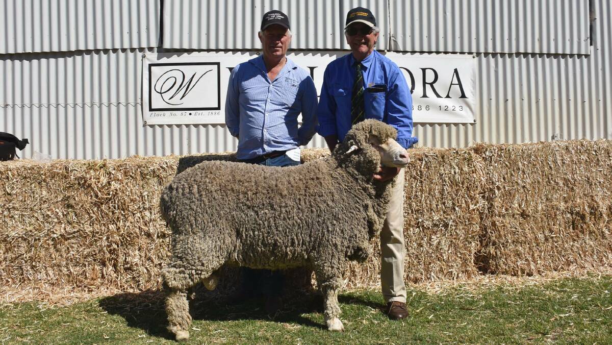 Kevin Crook, Tamaleuca Merino and Poll Merino Stud, Ouyen, Victoria, with his selection of the Poll draft and Willandra's Peter Jeffs.