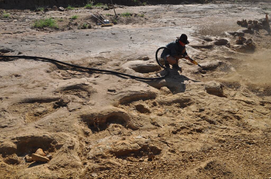 Excavation work underway on the tracks, the best preserved Sauropod tracks ever discovered in Australia. 