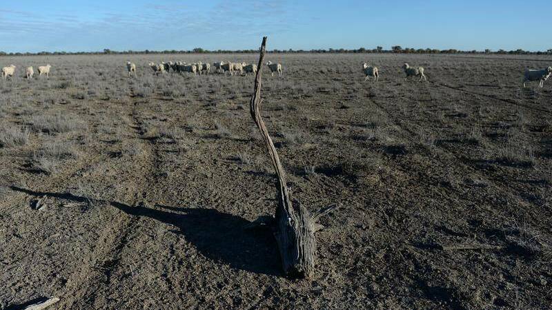 Rainfall hit and miss as farmers brace for tough, dry winter