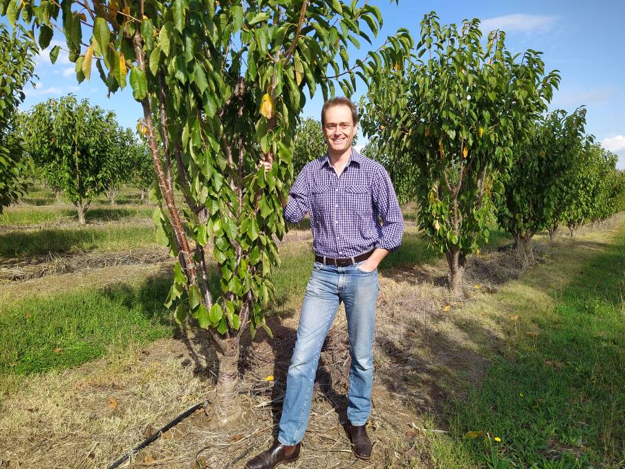 Cherry Growers Association president, Tom Eastlake, said it was important to keep as many overseas workers in the country as possible to support the horticulture industry. Photo supplied. 