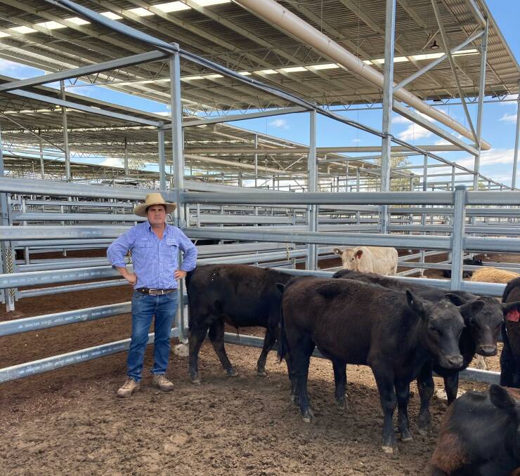 Colin Say and Co agent Nathan Purvis with Angus steers from Blue Granite Pty Ltd, which sold for 526c/kg. Photo: Supplied 