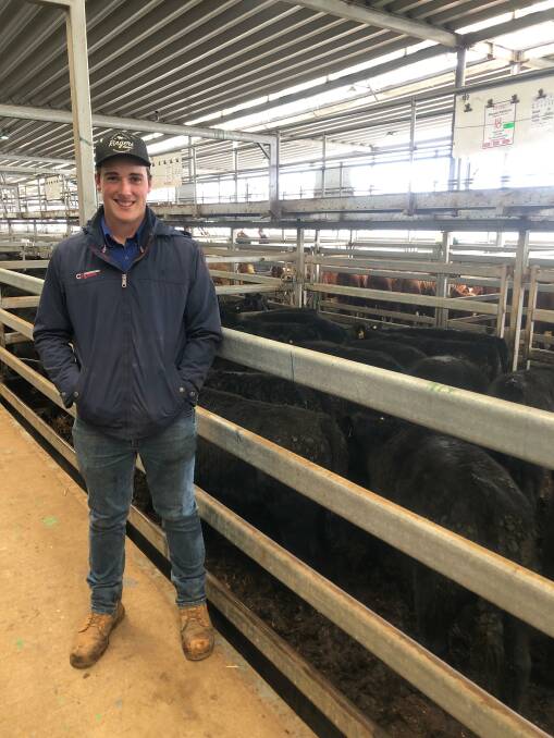 Harry Crispin, Corcoran Parker with 18 Angus steers, eight to nine months old, offered by Dennis Pastoral, Staghorn Flat, Vic which sold for $1200. 