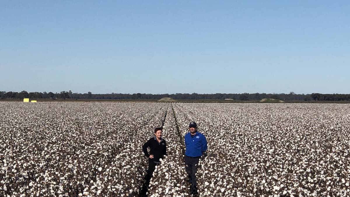 Southern Cotton CEO Kate O'Callaghan and farm manager Paul Flewitt. They said despite the tough seasonal conditions and low plantings, growers have come away with reasonable yields, good prices and some water savings. 