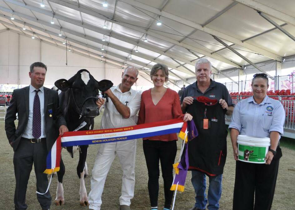 Holstein senior champion, Tomargo Recluse Stanley Starbaby, SD. and EG. Chesworth, Tomargo Recluse, Dubbo. Pictured judge Marcus Young, Steve and Erika Chesworth, Dave Mayo and Brooke Allen.