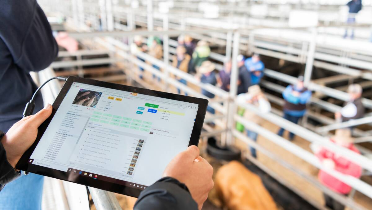 Stocklive have had their number of viewers triple since the COVID-19 outbreak restricted access to saleyards, signing up new selling centres who needed to offer buyers and vendors a way to take part in their sales. Photo supplied. 