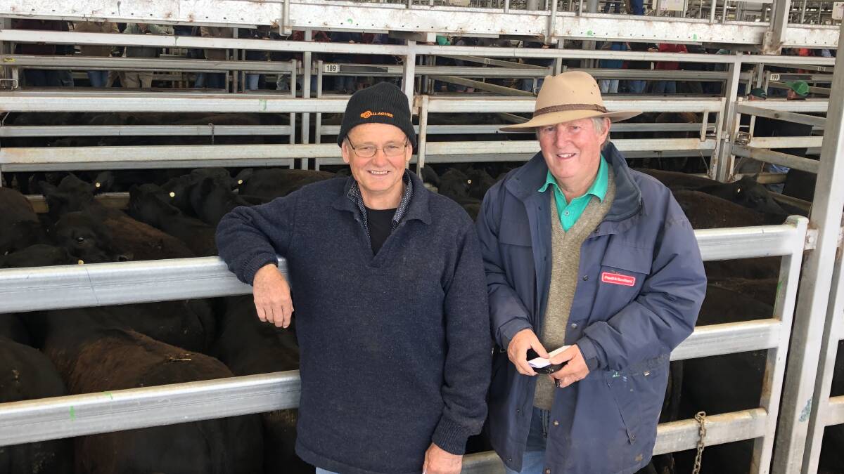 John Ley, Jarvis Creek, Vic sold a run of 100 Angus steers with Rennylea blood, the top pen selling to $1295. Pictured with Mike Scollard. 