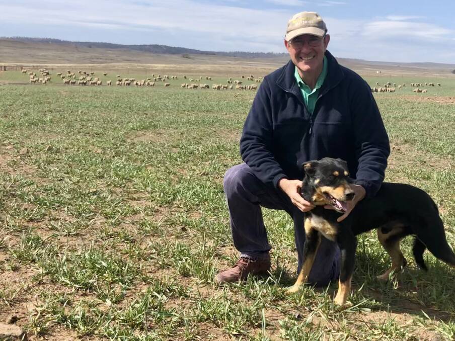 Richard Turner, Cooma, with Tex, is hoping to purchase locally-bred Merino ewes now the season is starting to turn. 