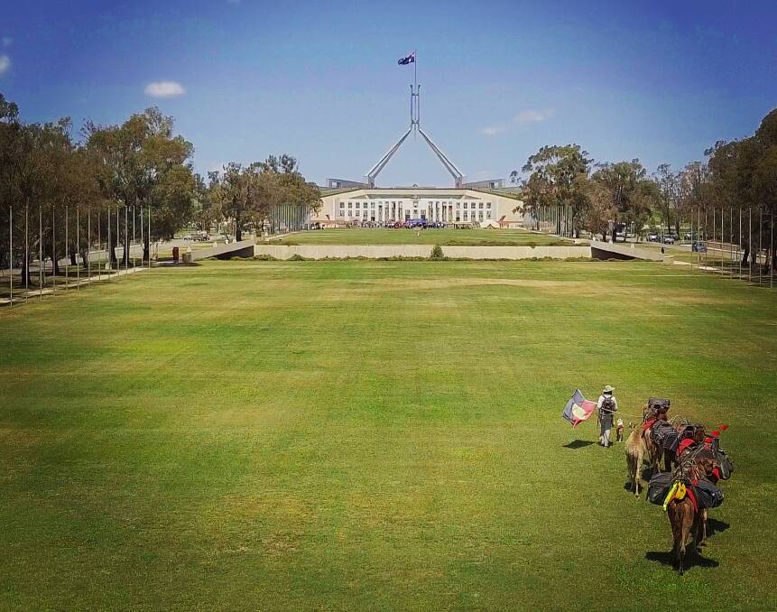 A trip to the lawns of Parliament House was all part of the 2150 kilometre detour for John Elliott and his camel team. Photo by Cameron Watt. 