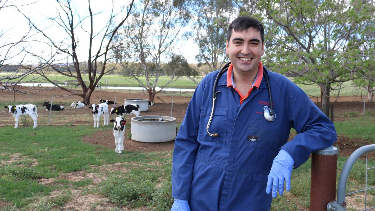 Graham Centre for Agriculture Innovation researcher Dr Angel Abuelo and his team found colostrum collection practices in the dairy industry need to be improved to decrease calve illness and mortality. 