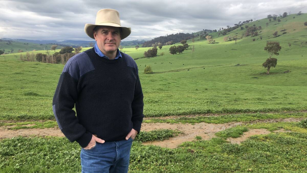 Bushfire-impacted cattle producer Matt Pearce, Yaven Creek, has a new challenge - the route of the HumeLink transmission line, set to cut straight through his farm.