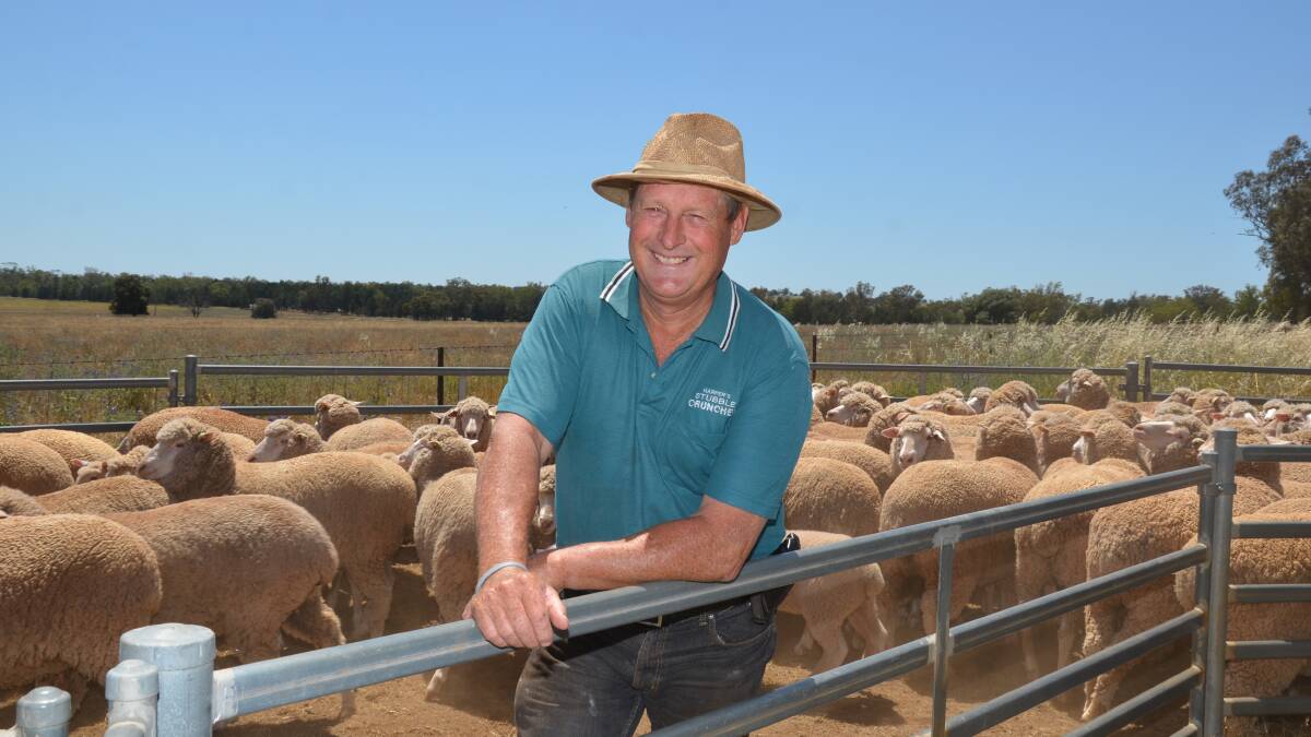 Colin Harper has spent 10 years improving his soil health and now avoids the use of chemicals and fertiliser. 