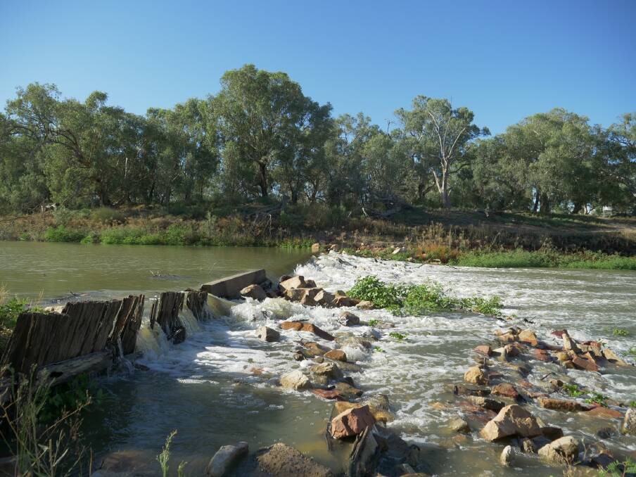 Water flowing over the Wilcannia weir on Wednesday. Water arrived at Wilcannia on January 31 but pumping restrictions were lifted days earlier. Photo: Otis Filley