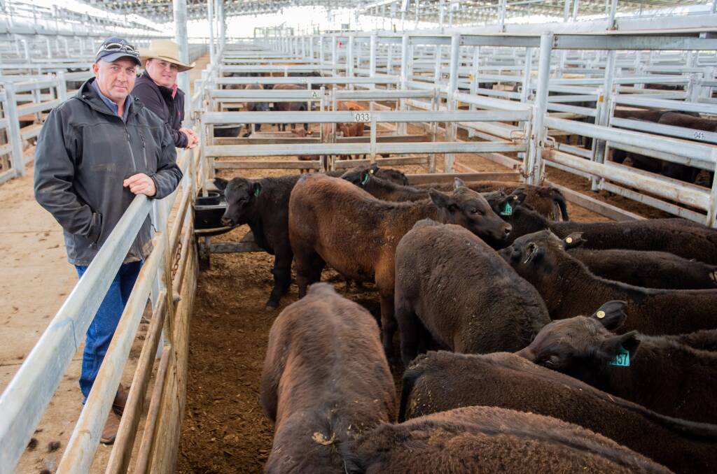 Dave Tozer, Onslow, Wallendbeen with Charlie Butt, Elders Cootamundra, sold 13 Angus Steers, 320kg, for $1500. Photo: SELX