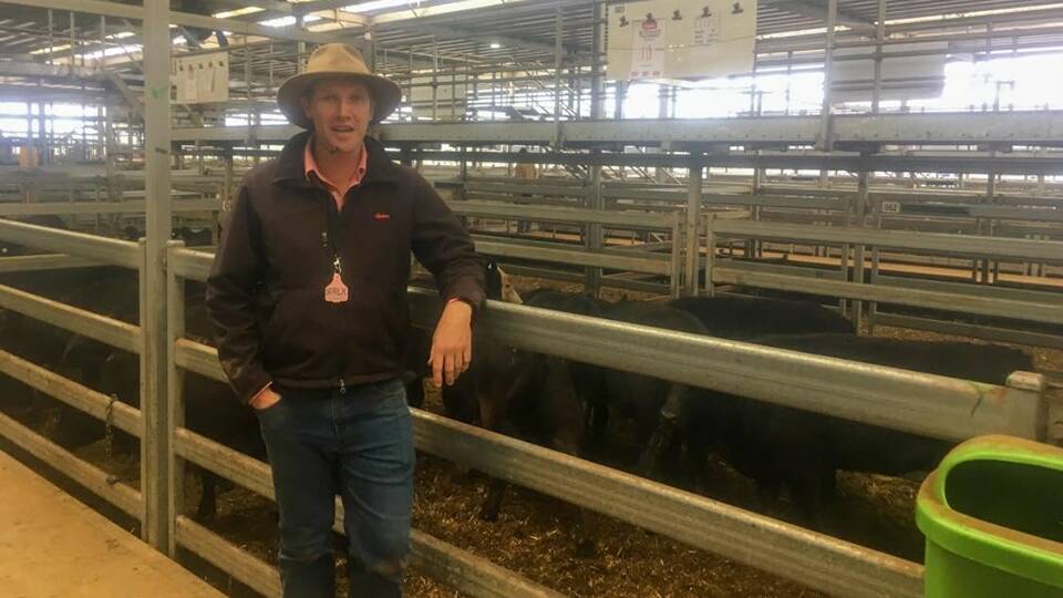 Matt Tinkler, Livestock Manager Elders Albury with a pen of 10 Angus heifers offered by BJ Schultz, Yallambee, Mulwala which sold for $1380/hd. 
