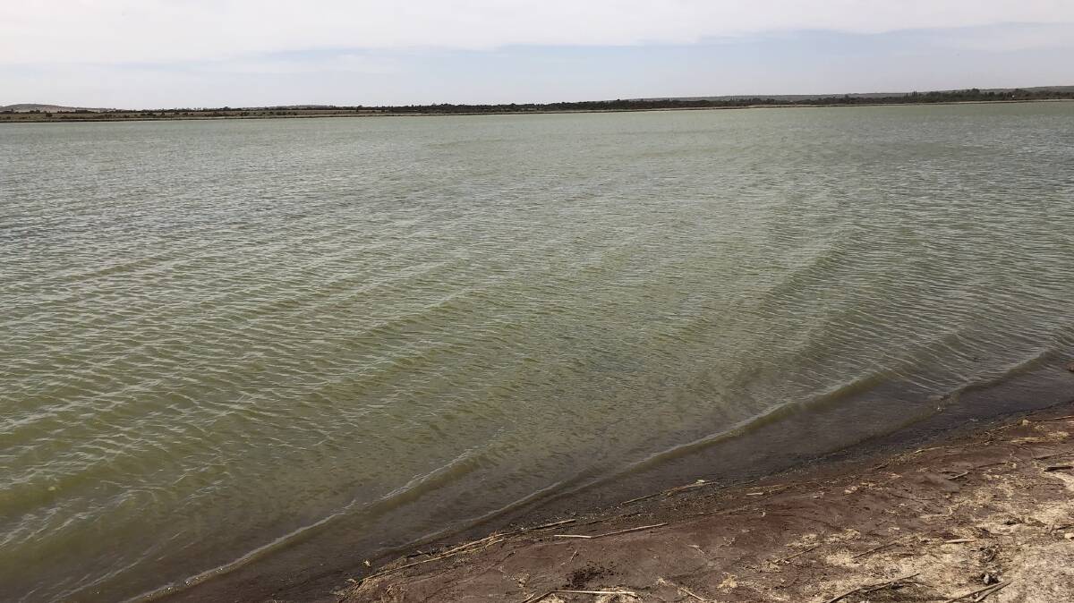 Lake Wyangan has had low water levels since 2018, with blue-green algae events a common occurrance. 