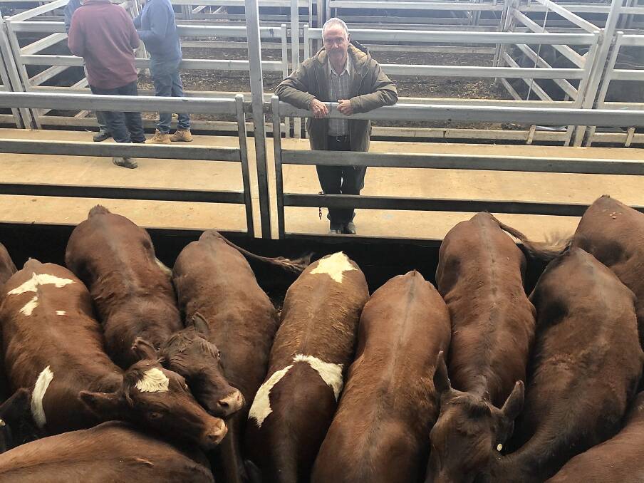 Paul Kneebone, Everton, Vic bought a pen of 49 Shorthorn steers from Upper Wantagong, Holbrook for $1150. 