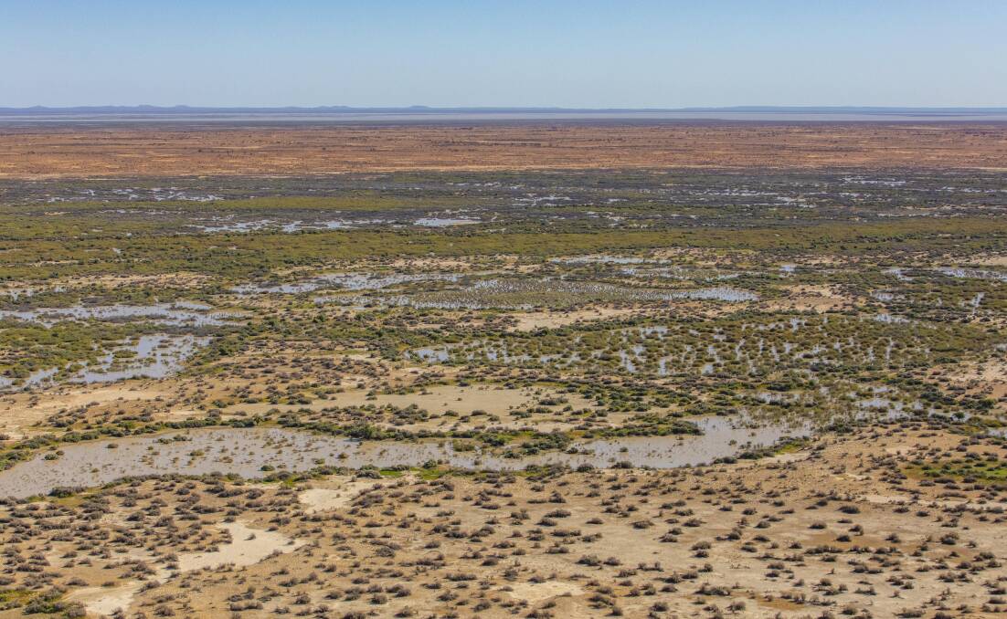 The NSW government has purchased 153,415-hectare Narriearra Station near Tibooburra for a new national park. Photo supplied. 