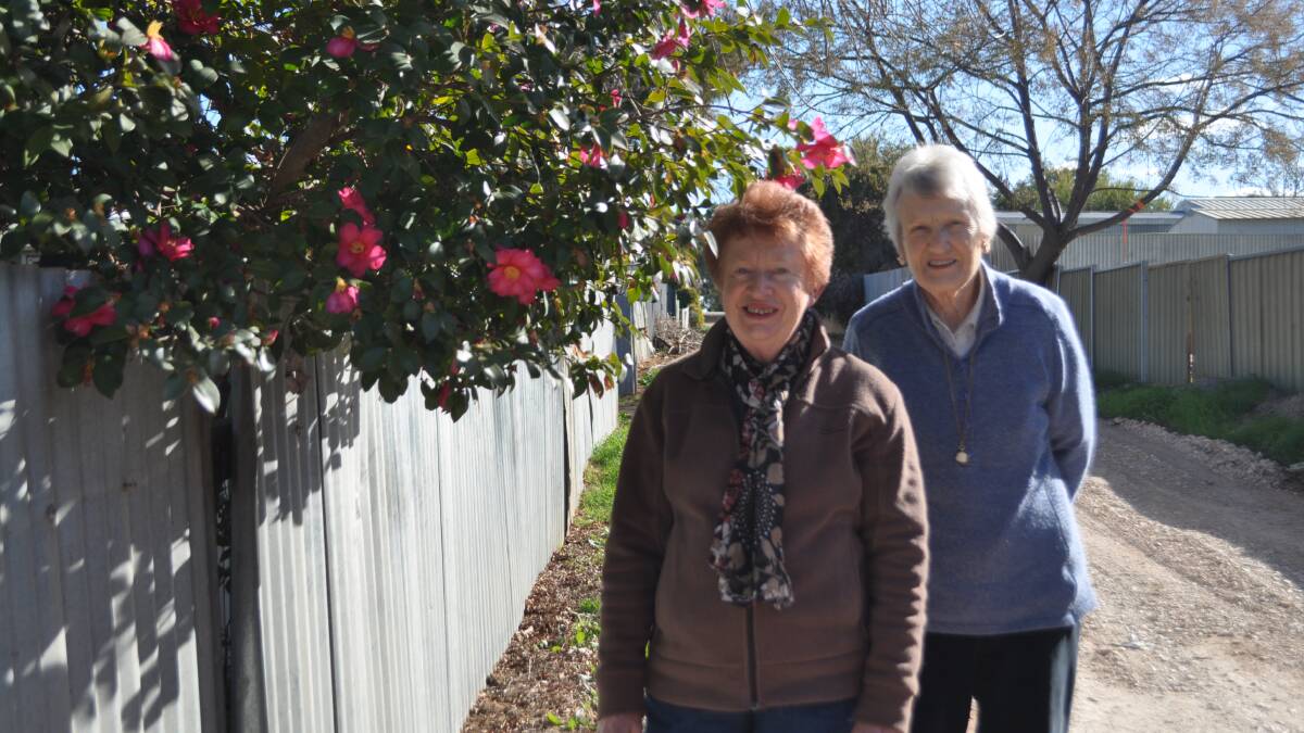 Denise Di Salvia and Gwen Nielson with some of Mrs Di Salvia's camellias. 