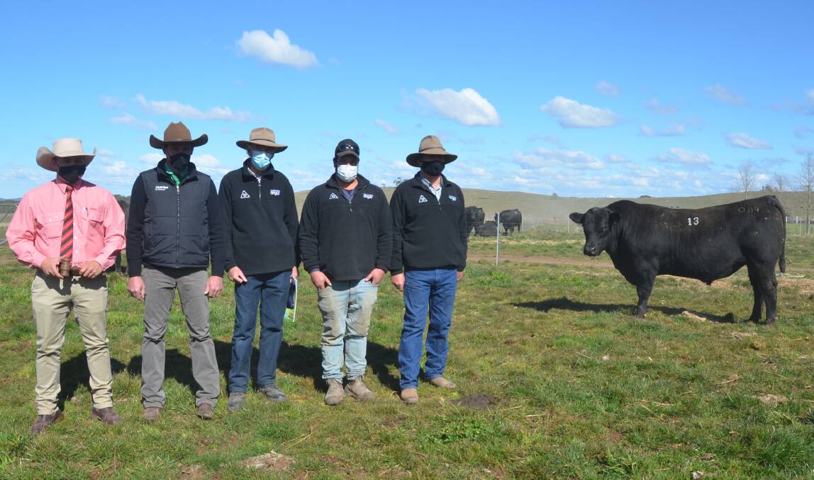 Bannaby Beast Mode Q89, one of the two bulls to sell for $21,000, with Elders auctioneer Lincoln McKinlay, Nutrien Bathurst agent Marcus Schembri, Bannaby Angus principal Keith Kerridge, purchaser Luke Carroll, Merricroft Pastoral, Golspie and Bannaby Angus manager Glynn Langford.