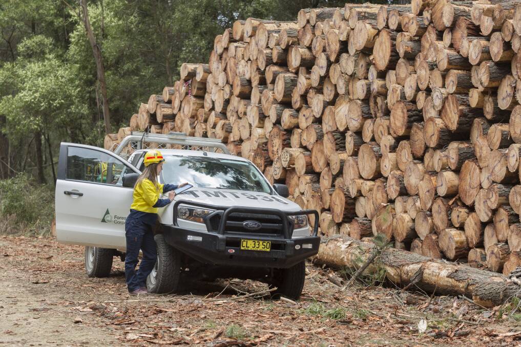 The China trade embargo will see softwood diverted to the domestic market which is struggling to meet demand following the bushfires. 