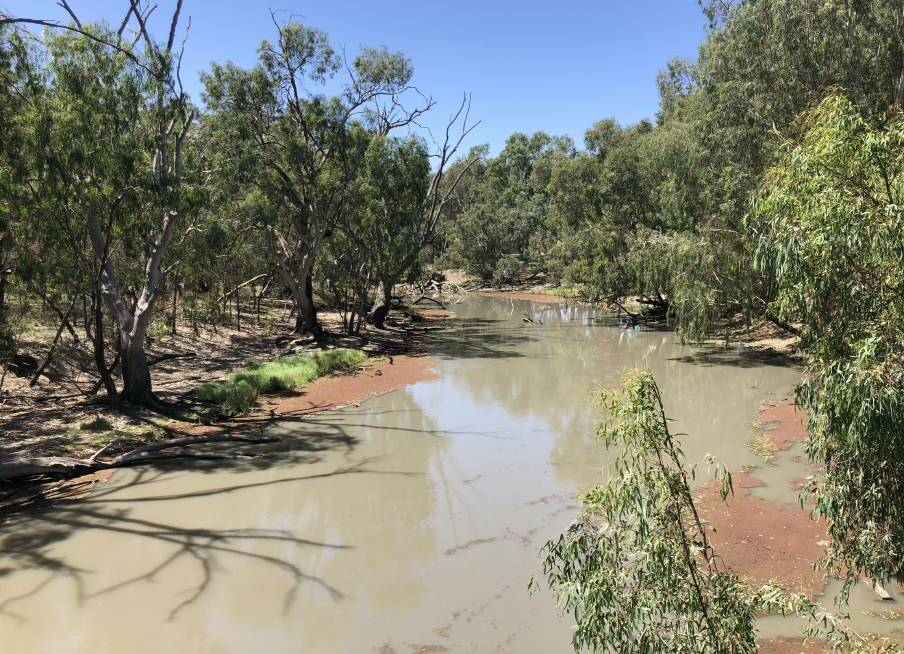About 250 licence holders rely on the Yanco Creek system and have raised serious concern about their future access to water should the project go ahead.
