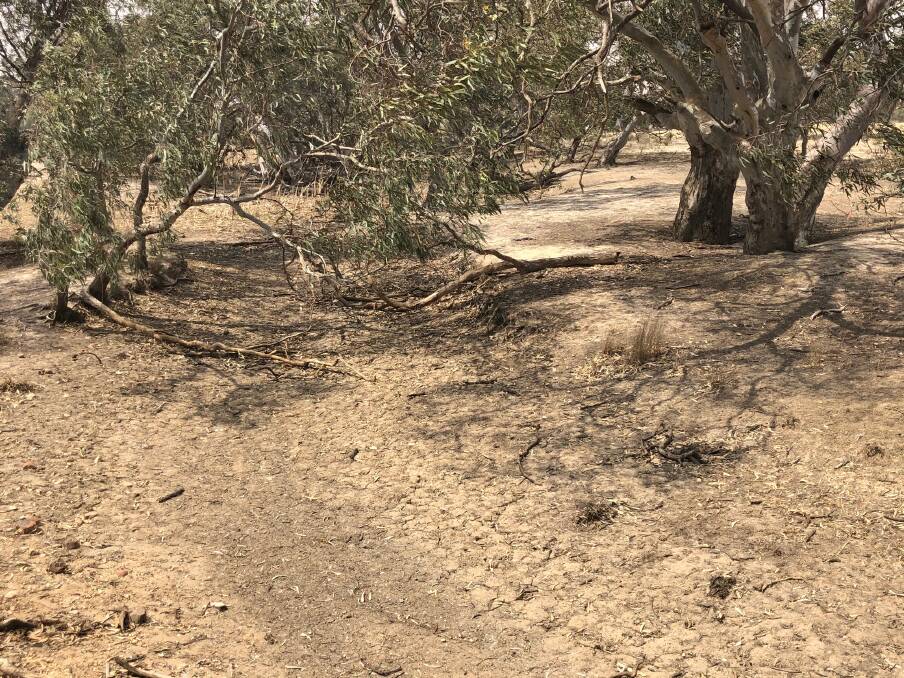 How do we best prepare for drought? The government asks how to best spend the $5 billion Future Drought Fund.