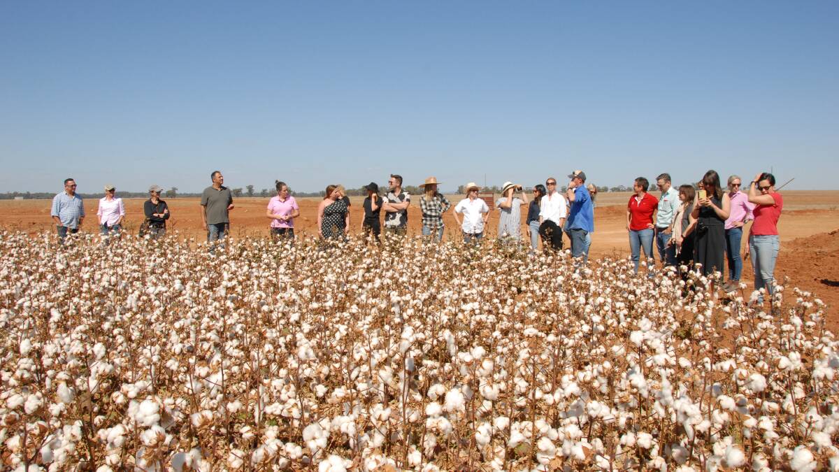 A 'Camp Cotton' in Warren earlier this year. Retailers and brands were invited on farm to see what growers do and how they do it. Photo supplied. 